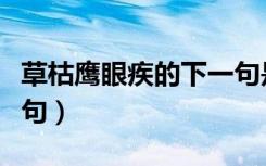 草枯鹰眼疾的下一句是啥（草枯鹰眼疾的下一句）