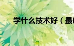 学什么技术好（最吃香的手艺有哪些）