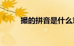 撮的拼音是什么意思（撮的拼音）