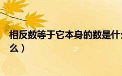 相反数等于它本身的数是什么（相反数等于它本身的数是什么）