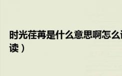 时光荏苒是什么意思啊怎么读（时光荏苒是什么意思啊怎么读）