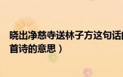 晓出净慈寺送林子方这句话的意思（晓出净慈寺送林子方这首诗的意思）