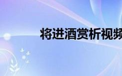 将进酒赏析视频（将进酒赏析）