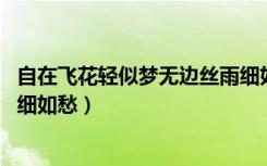 自在飞花轻似梦无边丝雨细如愁（自在飞花轻似梦 无边丝雨细如愁）