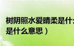 树阴照水爱晴柔是什么意思（树阴照水爱晴柔是什么意思）