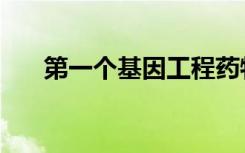 第一个基因工程药物（基因工程药物）