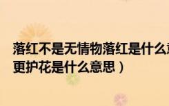 落红不是无情物落红是什么意思（落红不是无情物化作春泥更护花是什么意思）