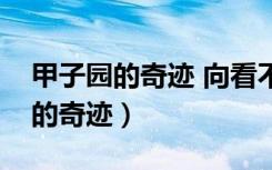 甲子园的奇迹 向看不见的恶魔挑战（甲子园的奇迹）
