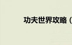 功夫世界攻略（功夫世界私服）