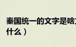 秦国统一的文字是啥文字（秦国统一的文字叫什么）