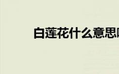 白莲花什么意思啊（什么意思啊）