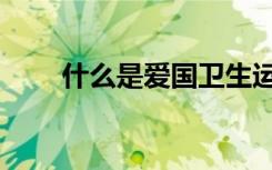 什么是爱国卫生运动（什么是爱国）