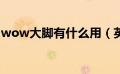 wow大脚有什么用（英雄联盟大脚有什么用）