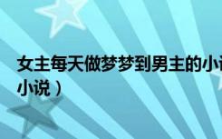 女主每天做梦梦到男主的小说（女主天天做春梦梦见男主的小说）