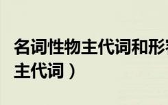 名词性物主代词和形容性物主代词（名词性物主代词）