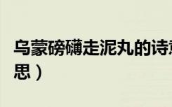 乌蒙磅礴走泥丸的诗意（乌蒙磅礴走泥丸的意思）