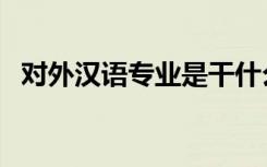 对外汉语专业是干什么的（就业前景好吗）