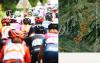 Strava宣布与环法自行车赛和环法自行车赛女子队