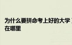 为什么要拼命考上好的大学 顶尖院校和普通院校的本质差距在哪里