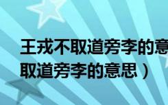 王戎不取道旁李的意思简短30个字（王戎不取道旁李的意思）