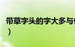 带草字头的字大多与什么有关（带草字头的字）