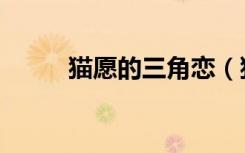 猫愿的三角恋（猫愿三角恋结局）