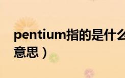 pentium指的是什么型号（pentium是什么意思）
