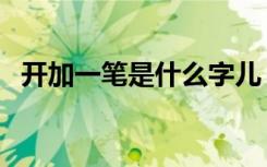 开加一笔是什么字儿（开加一笔是什么字）