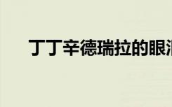 丁丁辛德瑞拉的眼泪（丁丁 辛德瑞拉）