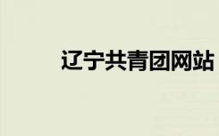 辽宁共青团网站（辽宁共青团网）
