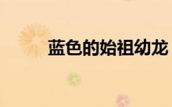 蓝色的始祖幼龙（铁锈始祖幼龙）
