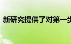 新研究提供了对第一步的见解 语言如何出现