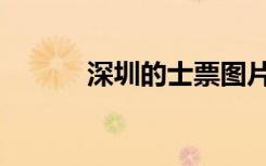 深圳的士票图片（深圳的士票）