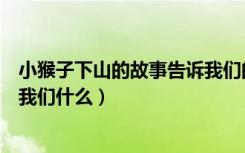 小猴子下山的故事告诉我们的道理（小猴子下山的故事告诉我们什么）