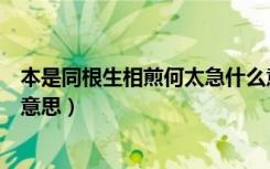本是同根生相煎何太急什么意思（本是同根生相煎何太急的意思）