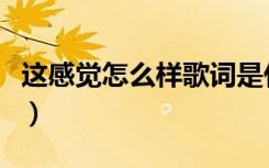 这感觉怎么样歌词是什么意思（这感觉怎么样）