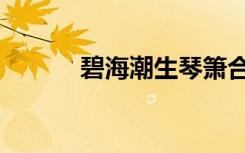 碧海潮生琴箫合奏（碧海潮生）