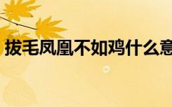 拔毛凤凰不如鸡什么意思（拔毛凤凰不如鸡）