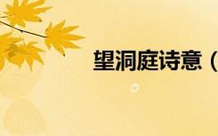 望洞庭诗意（望洞庭诗意）