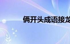 俩开头成语接龙（俩开头成语）