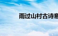 雨过山村古诗意思（雨过山村）
