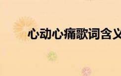心动心痛歌词含义（心动心痛歌词）