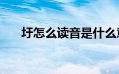 圩怎么读音是什么意思（圩怎么读音）
