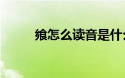 飨怎么读音是什么（飨怎么读音）