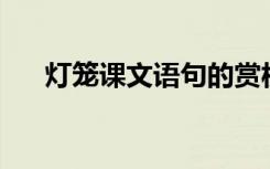 灯笼课文语句的赏析10句（灯笼课文）