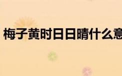 梅子黄时日日晴什么意思（梅子黄时日日晴）