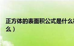 正方体的表面积公式是什么视频（正方体的表面积公式是什么）