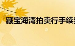 藏宝海湾拍卖行手续费（藏宝海湾拍卖行）