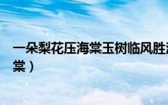 一朵梨花压海棠玉树临风胜潘安是什么意思（一朵梨花压海棠）