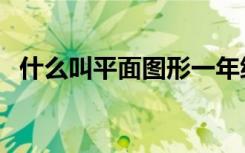 什么叫平面图形一年级（什么叫平面图形）